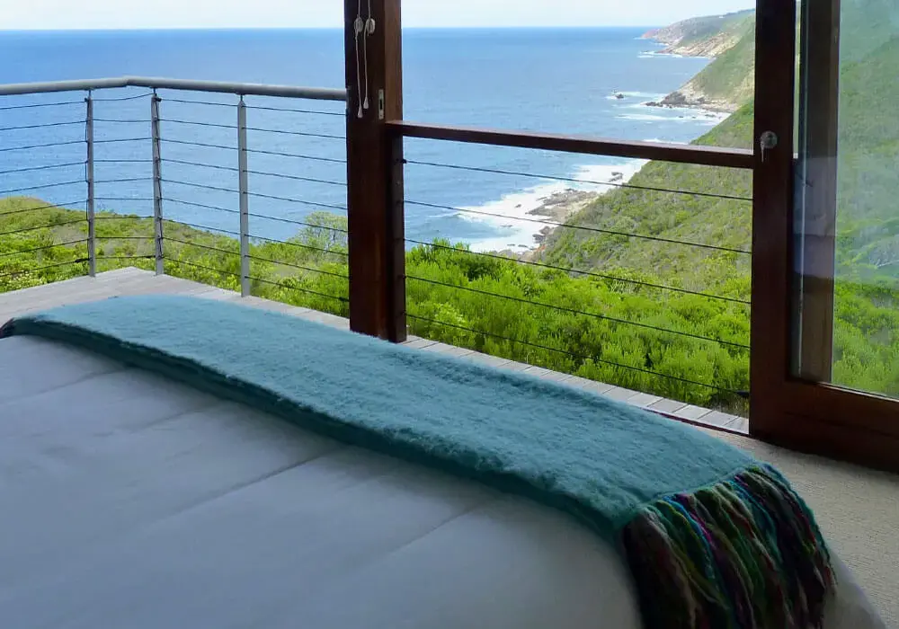 Timber-lined living space at The Cat's Whiskers, opening onto indigenous Garden Route forest